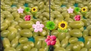 z.kitchen ሰወች የሚፈልጉህ የተሻልክ ሁነህ ስትገኝ ነው