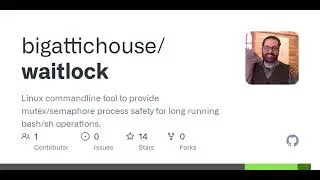 GitHub - bigattichouse/waitlock: Linux commandline tool to provide mutex/semaphore process safety...