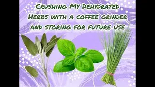 Chopping Dehydrated Herbs with a Coffee Grinder #sage  #basil  #chives  #fennel
