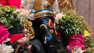 மார்கழி 29 அருள்மிகு சுந்தர விநாயகர் சிறப்பு அபிஷேகம் மற்றும் அலங்கார தீபாராதனை