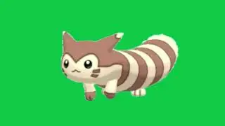 Furret walking (Greenscreen)