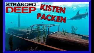 ZUR&Uuml;CK zur INSEL 🦈 STRANDED DEEP Let's Play Deutsch