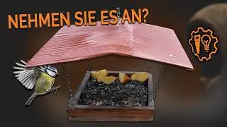 Ich hab &rsquo;ne Meise! 🐦 Notfall-Futterhaus gegen Dauerfrost bauen ❄️