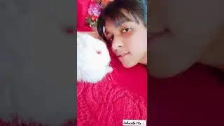 Pinku 🐇(Ser Putter ❤️) // Cute Rabbit Videos // Rabbit Whats App Status // #shorts  #Rabbits #Pet