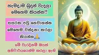 සසරක පවු ගෙවාගන්න පුලුවන් විදිහ| සසර ගැන බය උපදවා ගන්න| අදම වැරදි අඩු පාඩු හදාගන්න🙏🌸