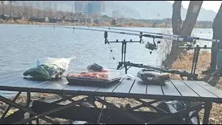 Рыбачим на сазана зимой,южная корея, город пусан