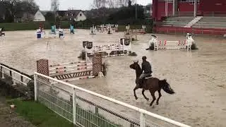 EL DIARADO D'EUSKADI - 5 ans - Saint Lo - 2019