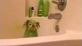 Memes to watch when you're bored