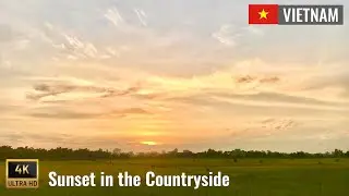 Hanoi walk| Enjoy the sunset in the countryside of Vietnam - Vietnam Walk Tv