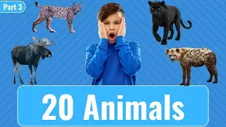 🐾 20 Animals in English with Pictures | Part 3 | Learn English Vocabulary Easily