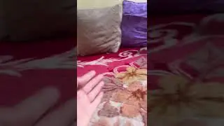 Rabbit Khatarnak jump Marta Hai 🥰#vlog #shorts #rabbit