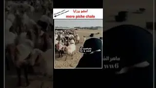 يا غنماتي (ya Ghanamati) #shorts