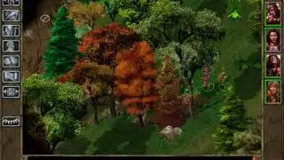 Baldur's Gate Walkthrough -Part 64- Cloakwood Forest #2