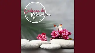 Exploration de la nature