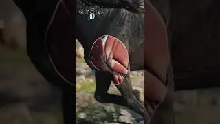 The Witcher 4 &mdash; Unreal Engine 5 Tech Demo #2 #unrealengine5 #thewitcher4