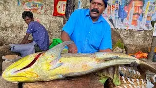 KASIMEDU SEKAR | HUGE COBIA FISH CUTTING VIDEO | 4K VIDEO | KM FISH CUTTING | IN KASIMEDU 