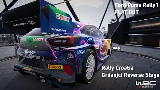 Ford Puma Rally1 FLAT OUT on Grdanjci Reverse Stage / WRC Generations (PC)