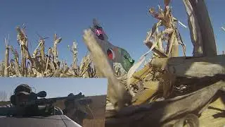 Farm Shoot Day 2022 - Fun with the Triumph System Pop Pack Reactive Targets - 243win v 6.5 Creedmoor