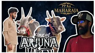 The King of ARJUNA... my all time favorite bull 