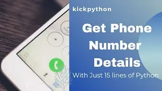 Get Phone Number Details with 15 Lines of Python