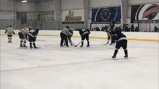 Rowan Profs 2021-22 Live Goal Horn #8