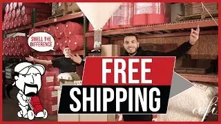 FREE SHIPPING!!! - AFI