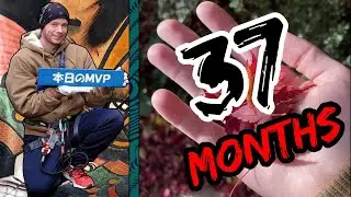 37 Months In Japan | JET Programme