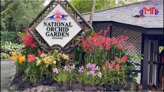 National Orchid Garden,Singapore