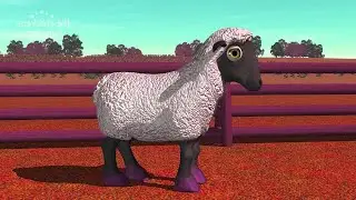 Rooster Bartolito crow like a Sheep🐓🐏🐑(Sponsored By: Gamavision Csupo Effects)