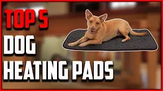 Top 5 Best Dog Heating Pad 2021