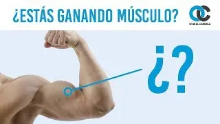¿Estás ganando músculo? ¡Cómo saberlo!