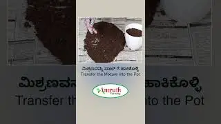 How To Grow Spinach At Home || Grow Organic Spinach At Your Home || Organic Gardening