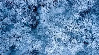 Winter World: Snow, Ice, and Beautiful Landscapes