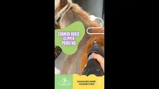 Common Broken Horse Clipper Problem With An Easy Fix