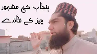 sukh chain shady tree of punjab in pakistan vlog92 ||سکھ چین درخت پنجاب اف پاکستان