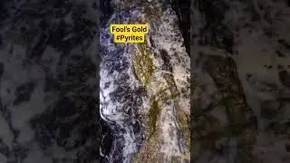 FAKE GOLD (A.K.A Pyrites)#shorts #viralshorts