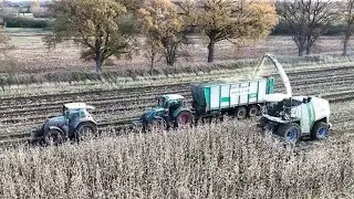 KRONE BIG X 700 am Mais häckseln / OSTERS & VOß / 4K / Teil 2