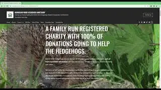 Help support a wildlife charity that rescues wild hedgehogs - Hornbeam Wood Hedgehog Sanctuary