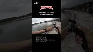 BAITJUNKIE || DAIWA