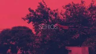T.5 || SEHIOS 