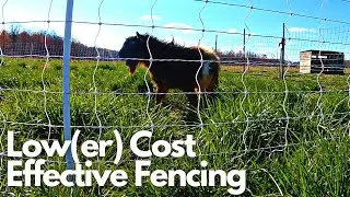 Pasturing Goats with Electric Netting (& Garden Update) | Farm Life VLOG