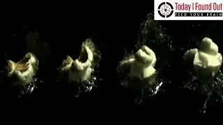 Why Does Popcorn Pop?