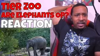 Tier Zoo - Are Elephants OP? REACTION | DaVinci REACTS