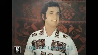 Ion Dolanescu -  Mandro te astept pe razor