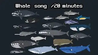 [Eng]Whale Friends Song | 20-Minute Ocean Songs for Children