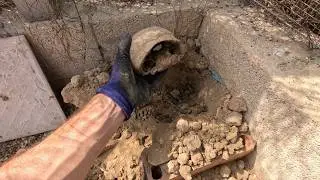 Cavamos en la tumba de mi tortuga y nos encontramos esto!!😨🐢