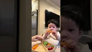 Milo&rsquo;s 21 meal - blw