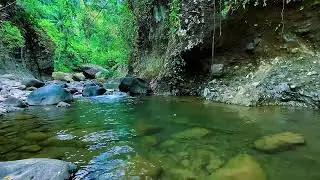 Forest River Flowing Ambience, Mountain Stream Water, Sleep
