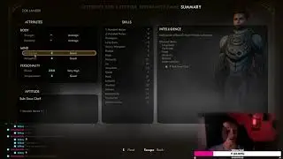 Explaining the character stats