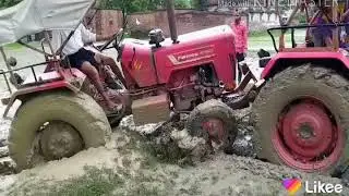 Gub gub  dhan ropala